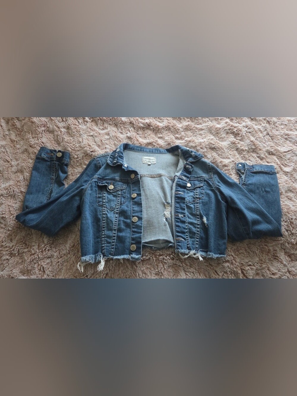 Aritzia Blue Distressed Cropped Denim Jacket